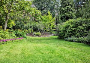 Optimiser l'expérience du jardin à Lonlay-le-Tesson
